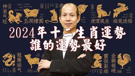 辰龍年|2024龍年生肖運勢解析！屬兔先學會放下、屬羊需要安太歲、屬。